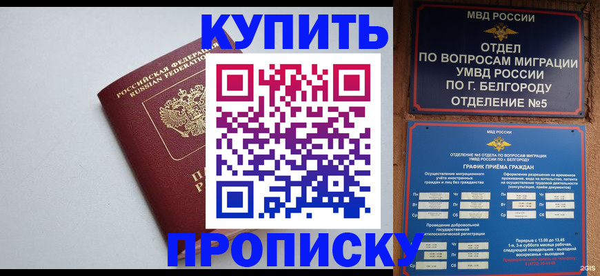 прописка регистрация в Похвистнево